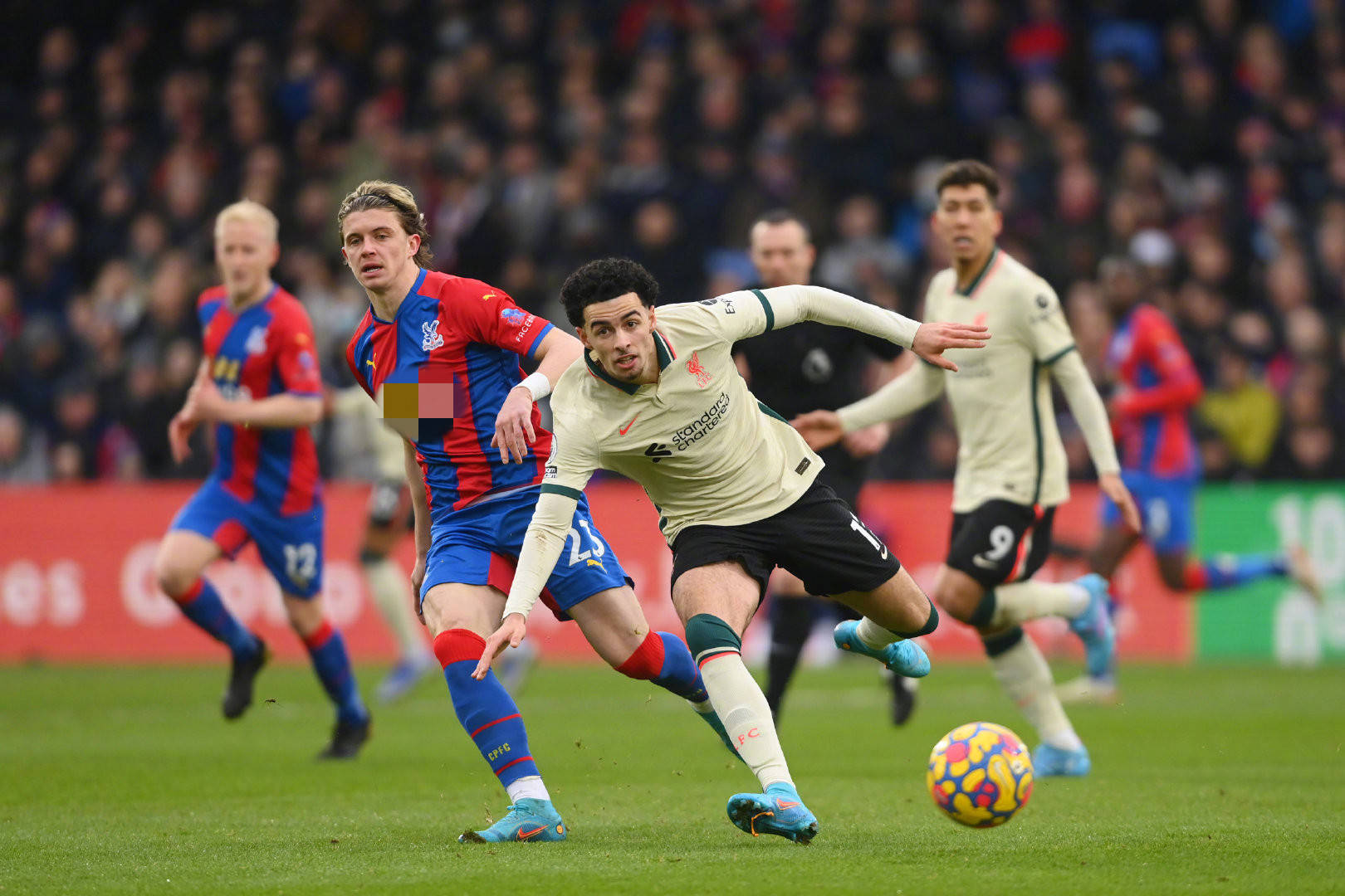 赛使得这种 赛使得这种