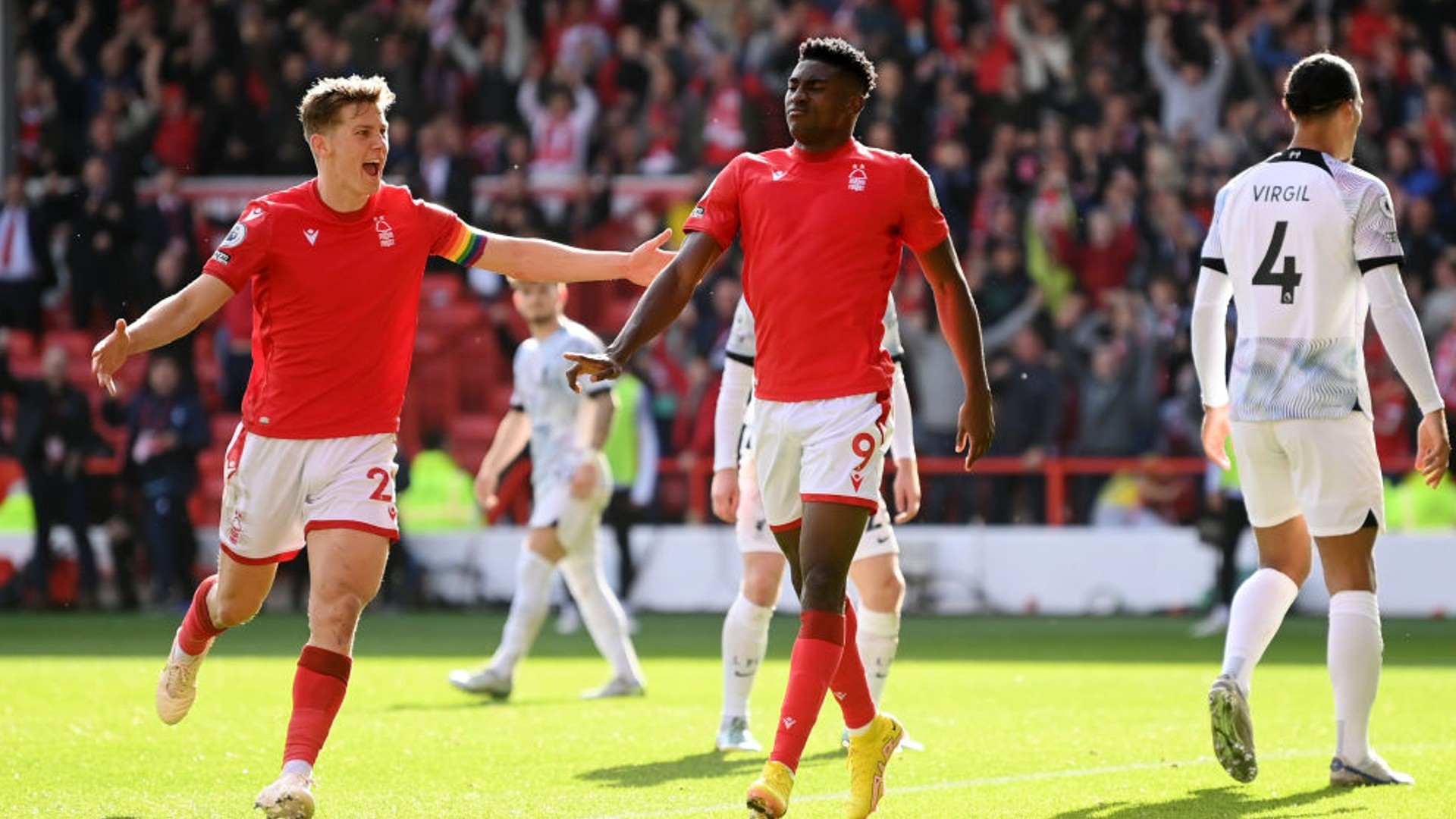 入了科学的 入了科学的